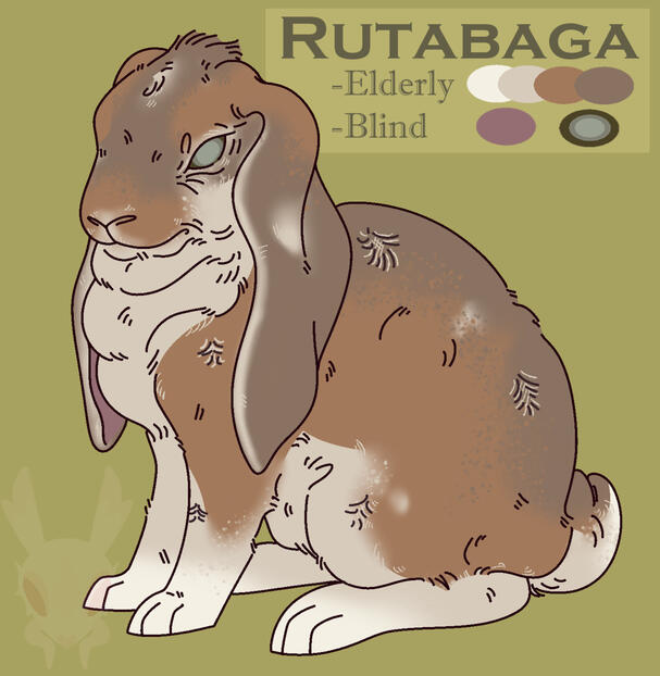 Rutabaga - Crazy_Corvid